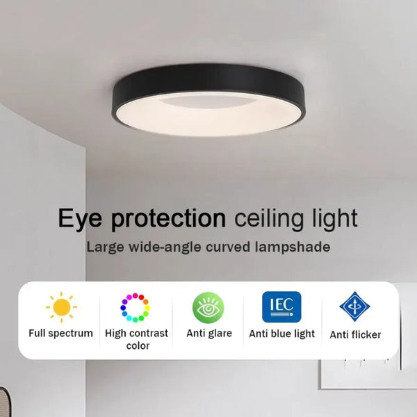 Modern LED Ceiling Light